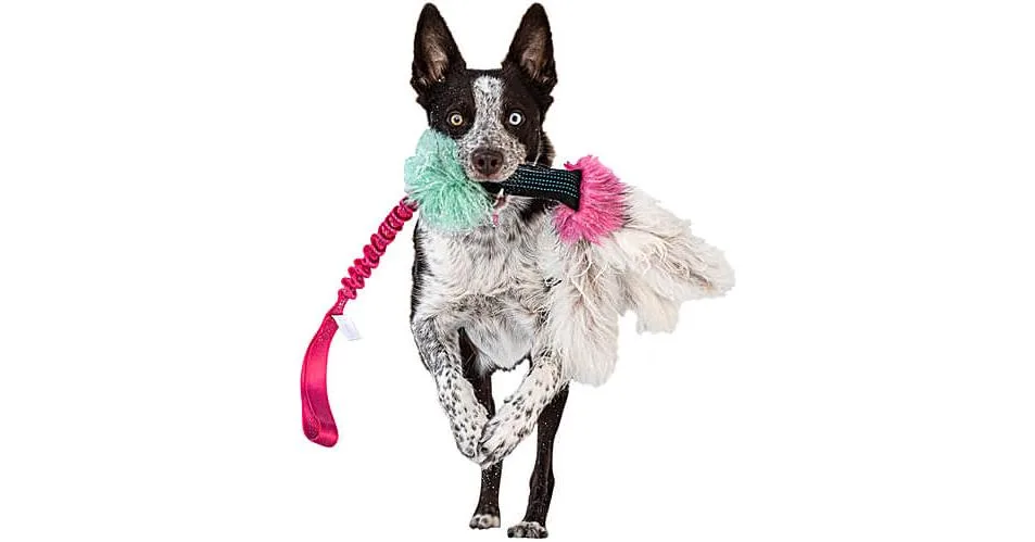 Doggie-Zen Bungee Squeaker Octopus Tug with Sheepskin, DZ