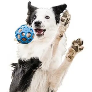 Doggie-Zen Hol-ee Stuffer - Fox Fur with Squeaker, DZ