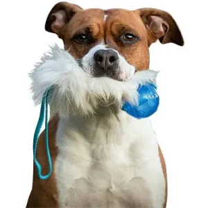 Doggie-Zen Pocket Sheepskin Tug with Squeezz Ball, DZ