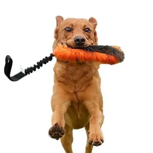 Doggie-Zen Wild Boar n' Faux Fur Bungee Tug, DZ