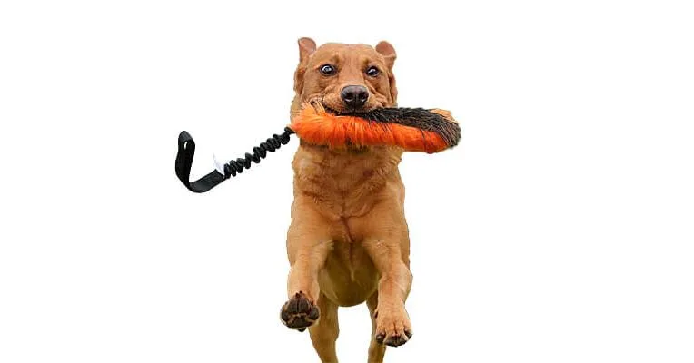 Doggie-Zen Wild Boar n' Faux Fur Bungee Tug, DZ