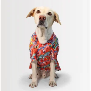 Dogobow Hawaii Printed Shirt for Dogs and Cats (Orange/Red) (Get a Bow Free)