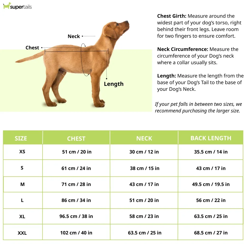 Dogobow Hearty Shirt for Dogs (Red) - Image 2