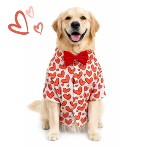 Dogobow Hearty Shirt for Dogs (Red)