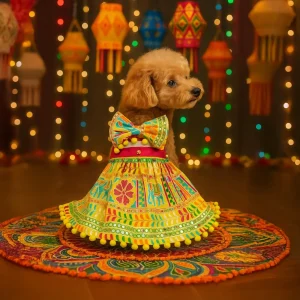 Dogobow Traditional Embroidered Dress for Cats & Dogs (Yellow)