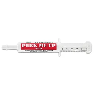 Dogzymes Perk Me Up Paste