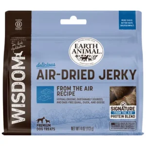 Dr. Bob Goldstein’s Wisdom Air