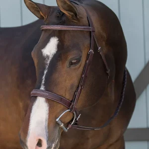 DS Classic Derby Bridle