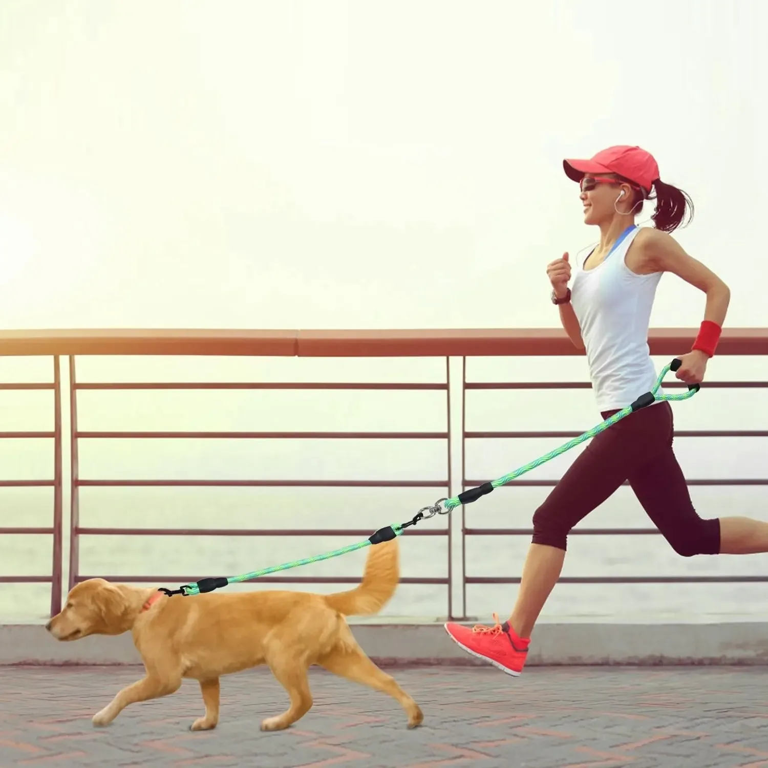 Dual Dog Leash – No-Tangle Reflective Leash with Padded Handle - Image 2