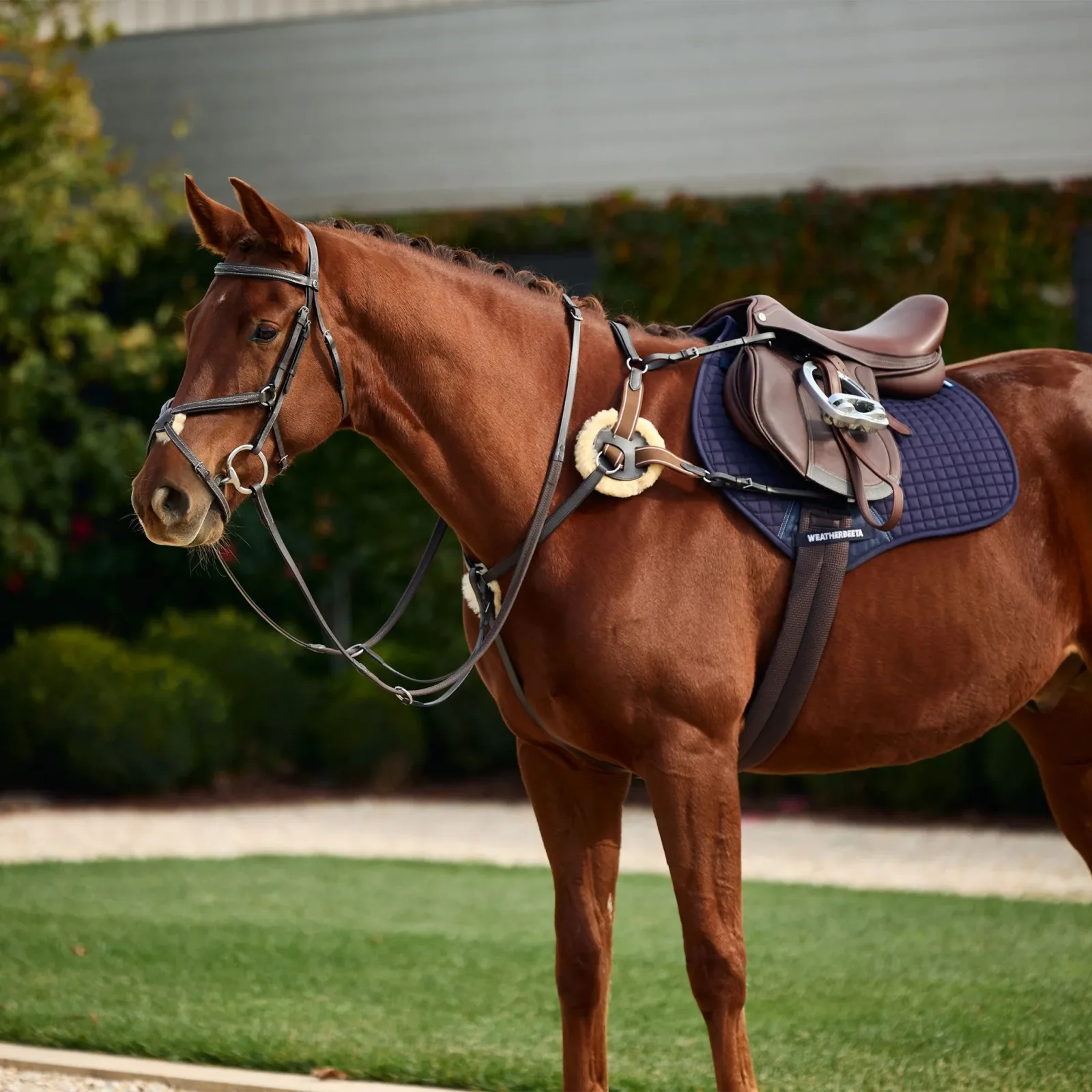 Dublin 5-Point Event Breastplate - Image 2