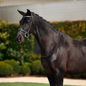 Dublin Crystal Flash Bridle