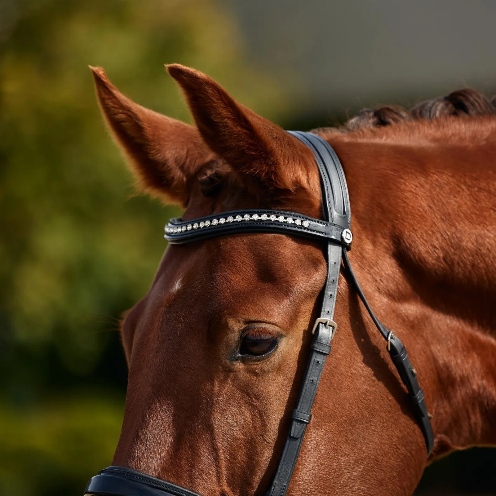 Dublin Padded Patent Flash Bridle - Image 2