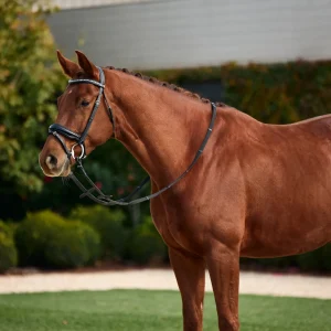 Dublin Padded Patent Flash Bridle