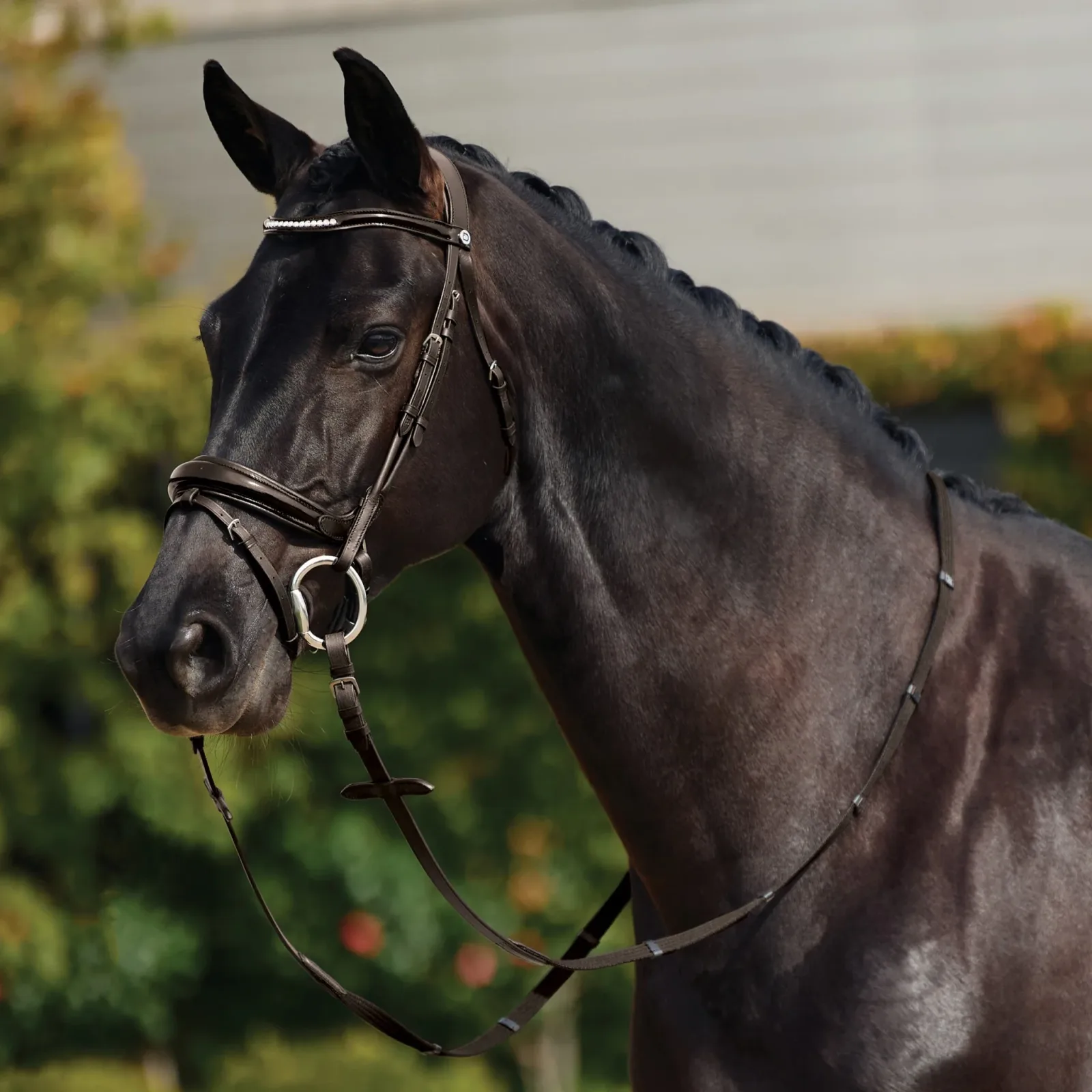 Dublin Patent Bridle - Image 2