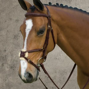 Dy'on® Figure-8 Bridle