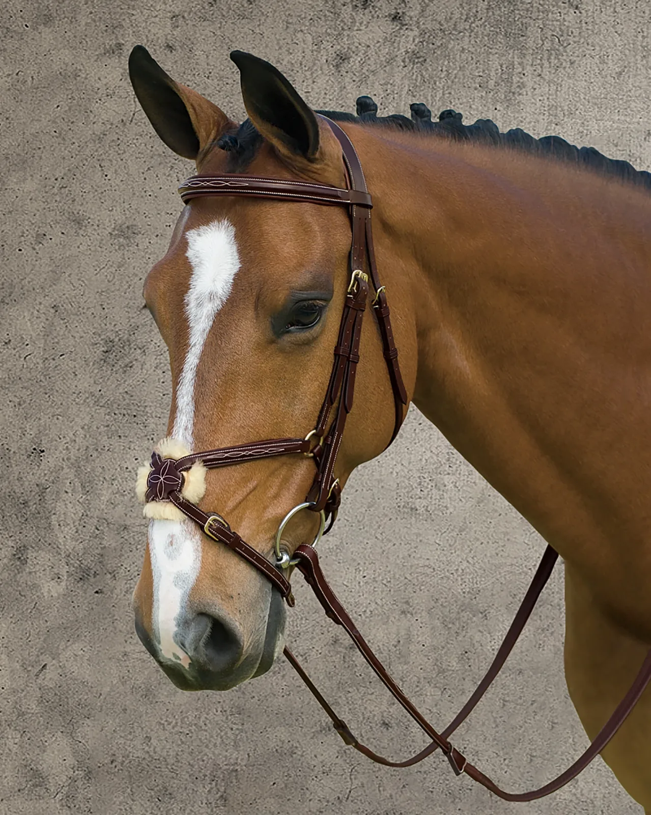 Dy'on® Figure-8 Bridle