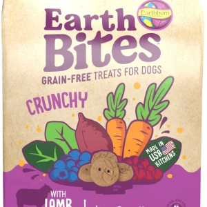 Earthborn Holistic EarthBites Crunchy Dog Treats Lamb & Pumpkin 2 lb