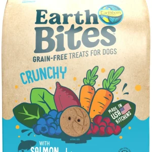 Earthborn Holistic EarthBites Crunchy Dog Treats Salmon & Pumpkin 10 oz