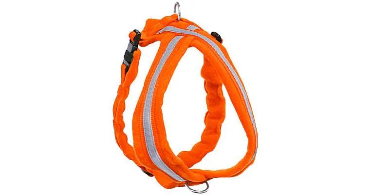 eDog Hi Visibility Fleece Harness