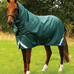 END OF LINE - Stratus 1200 Series 100g Turnout Rug with Classic Neck Cover Green