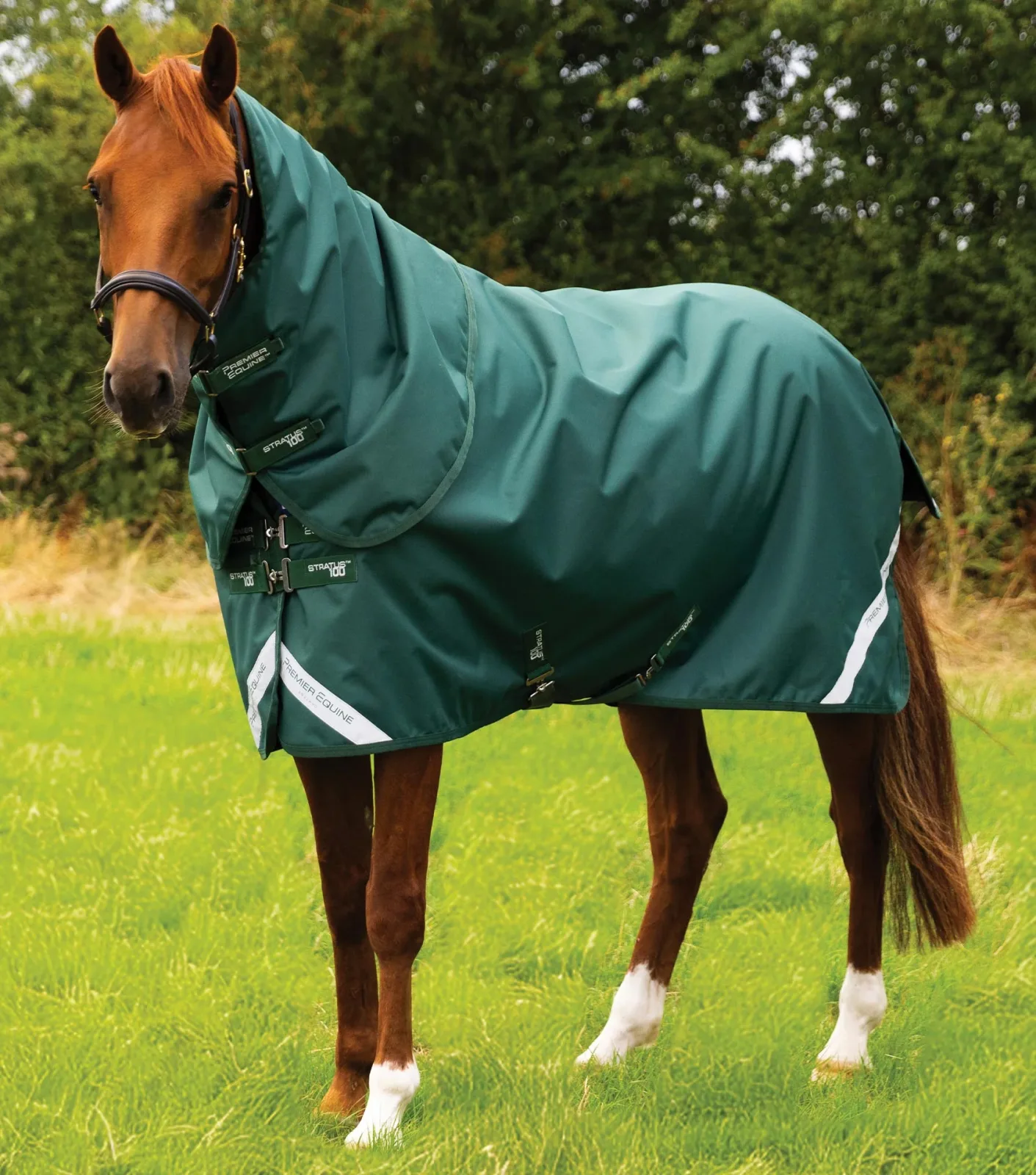 END OF LINE - Stratus 1200 Series 100g Turnout Rug with Classic Neck Cover Green