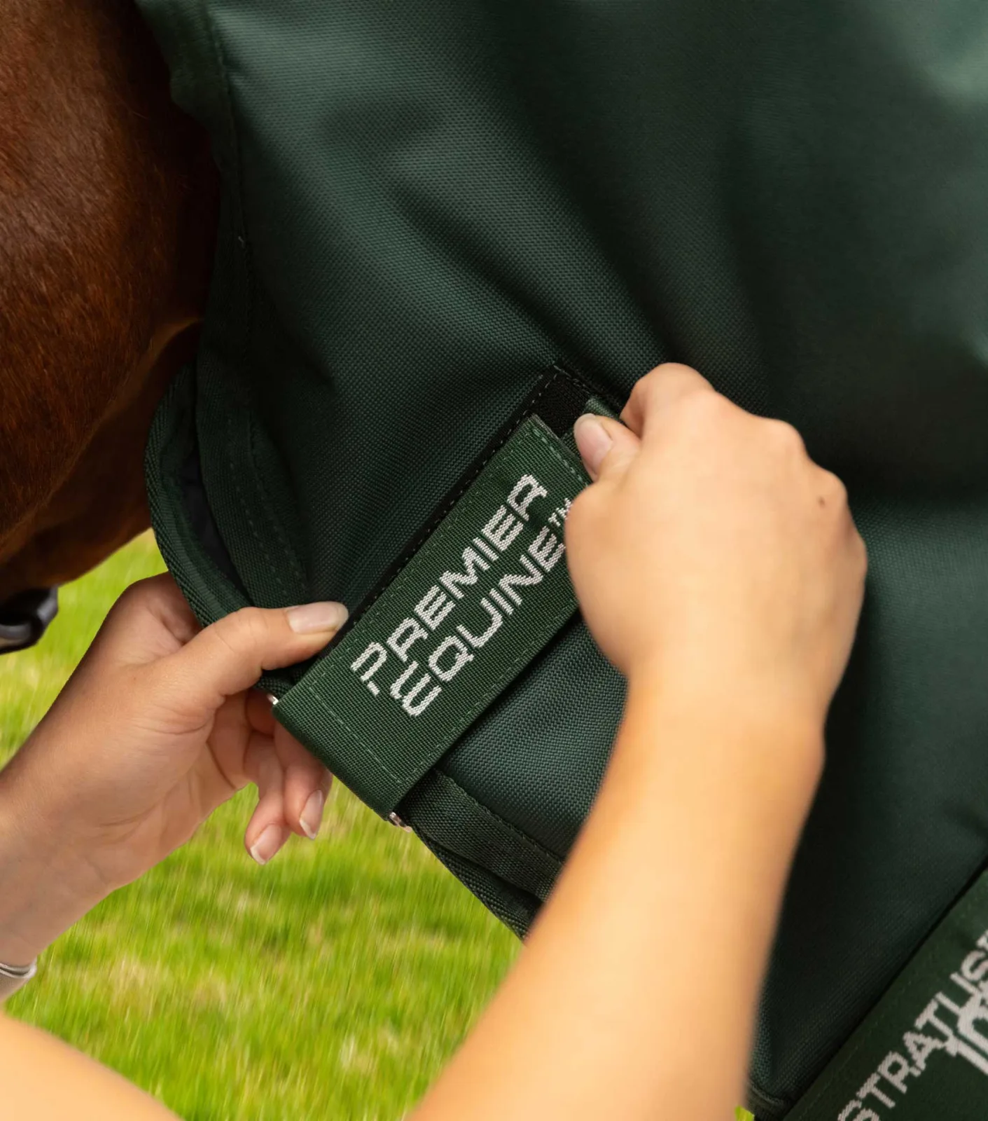 END OF LINE - Stratus 1200 Series 100g Turnout Rug with Classic Neck Cover Green - Image 2