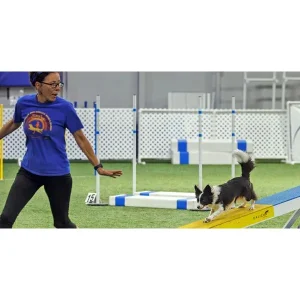 Engagement Under Pressure - Building Focus, Recovery & Connection