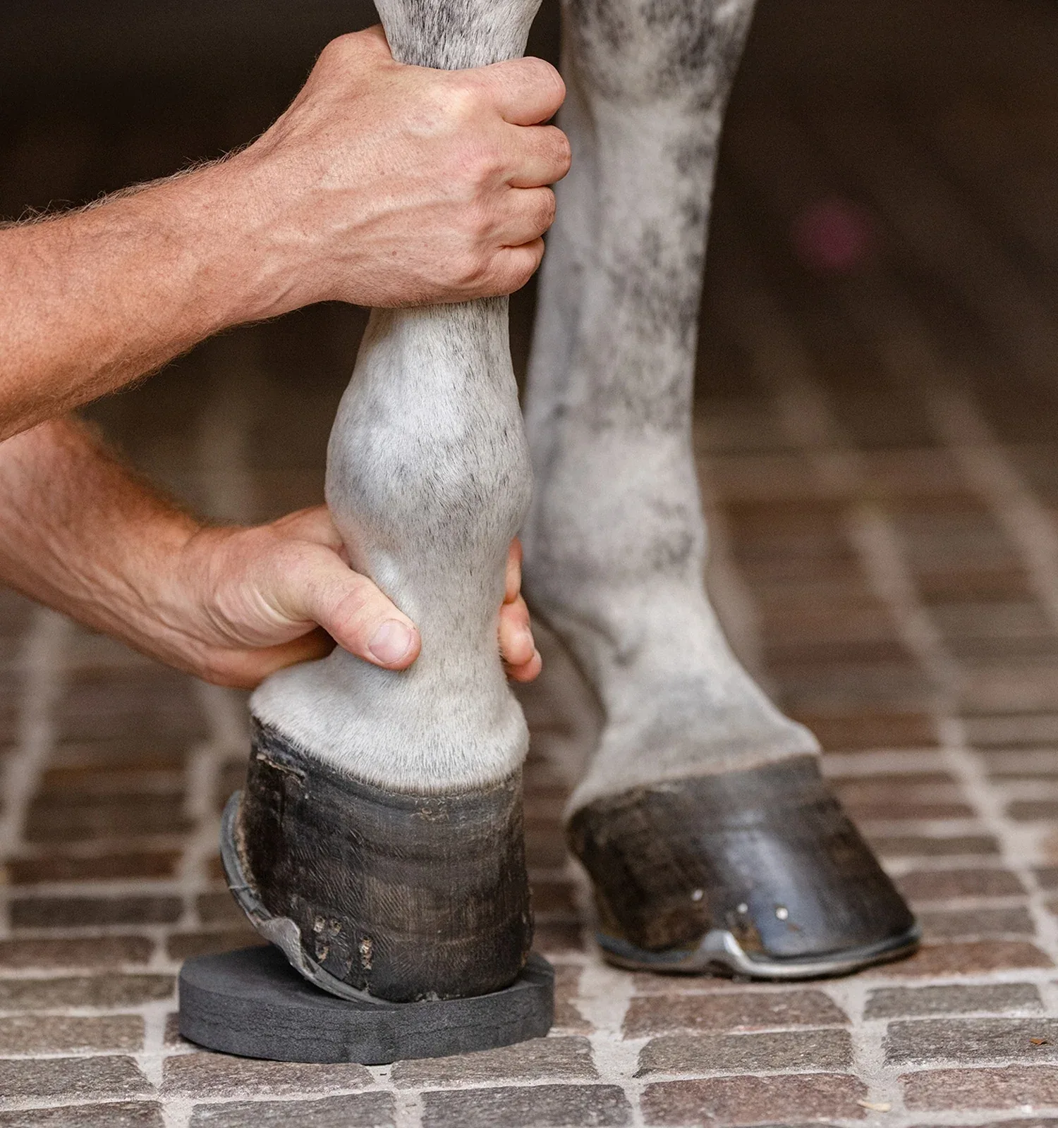 EquiFit Hoofsavers - Image 2