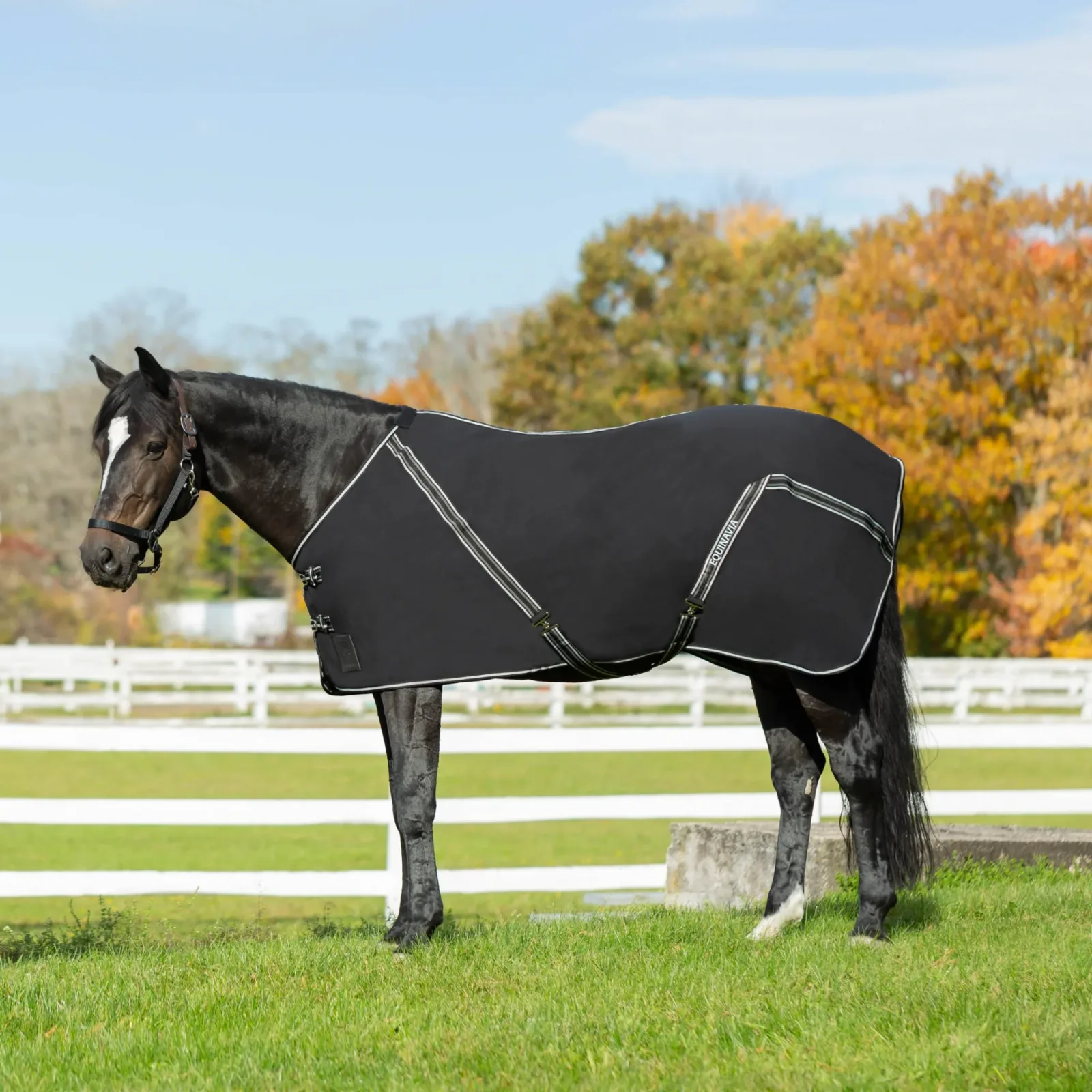 Equinavia Fryd Cotton Stable Sheet - Image 2