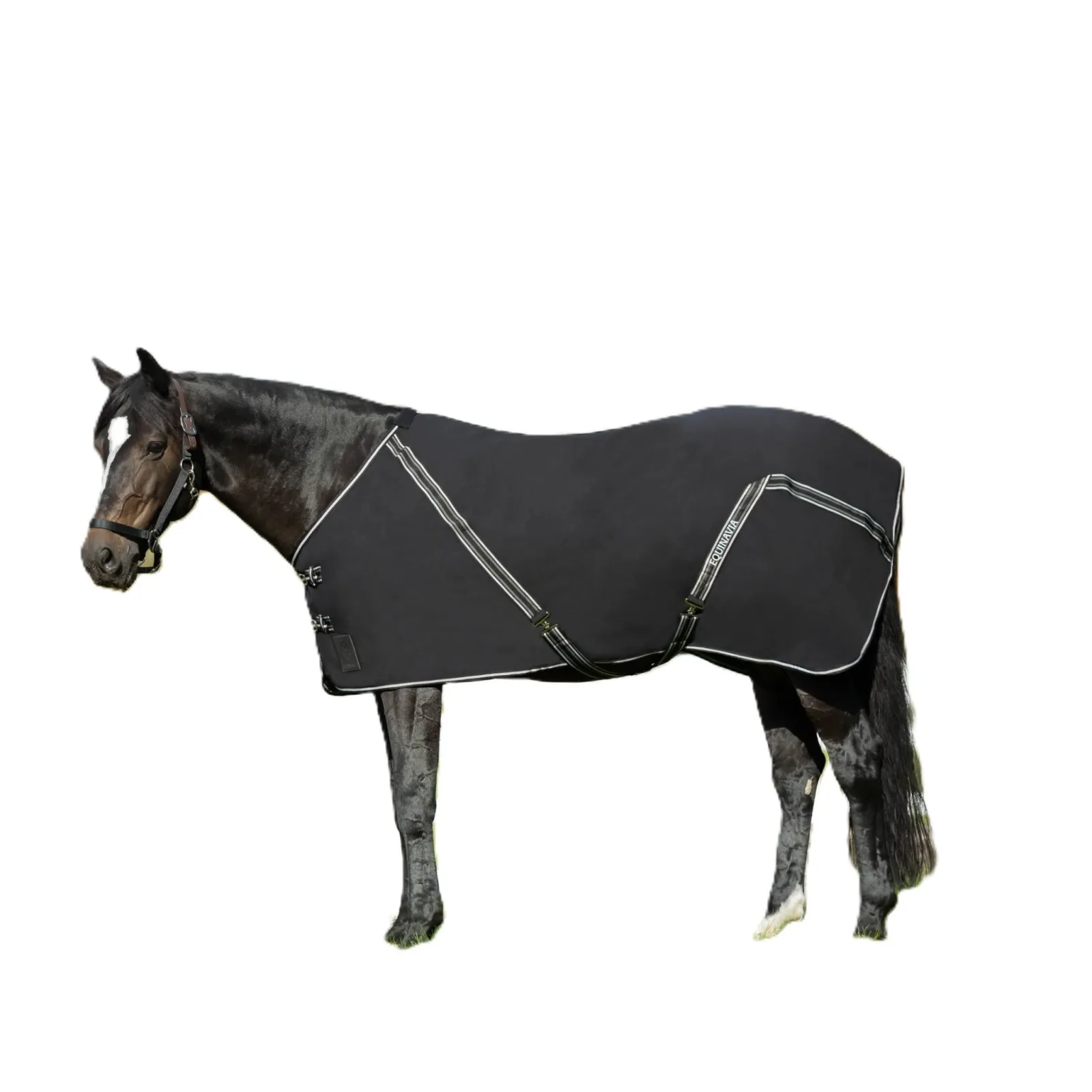 Equinavia Fryd Cotton Stable Sheet