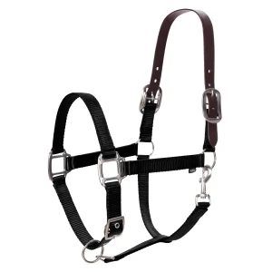 Equinavia Loki Breakaway Halter