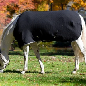 Equinavia Luftig Waffle Cooler