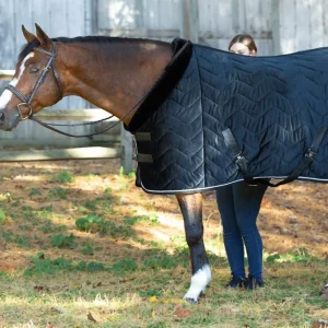 Equinavia Luksus Premium Cooler