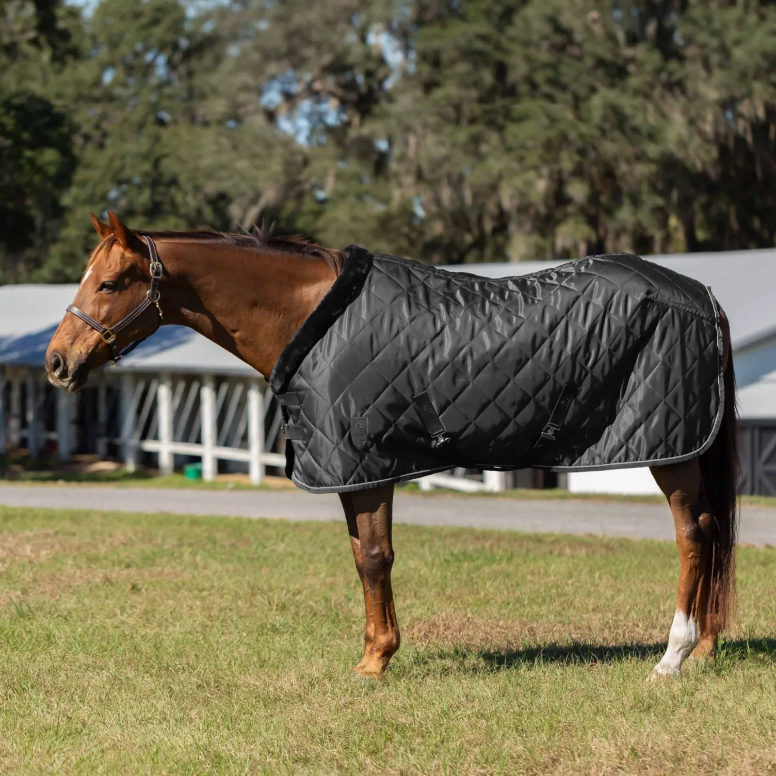 Equinavia Luksus Premium Stable Blanket - Image 2