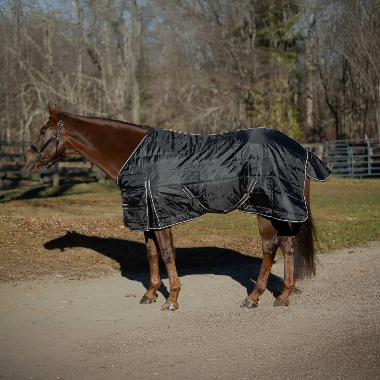 Equinavia Norse Gusseted Stable Blanket 200g - Image 2