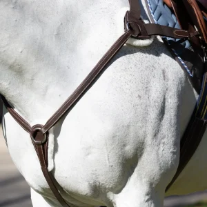 Equinavia Saga 5-point Breastplate