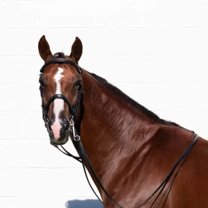 Equinavia Saga Double Bridle with Reins