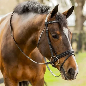 Equinavia Saga Dressage Crank Noseband Bridle