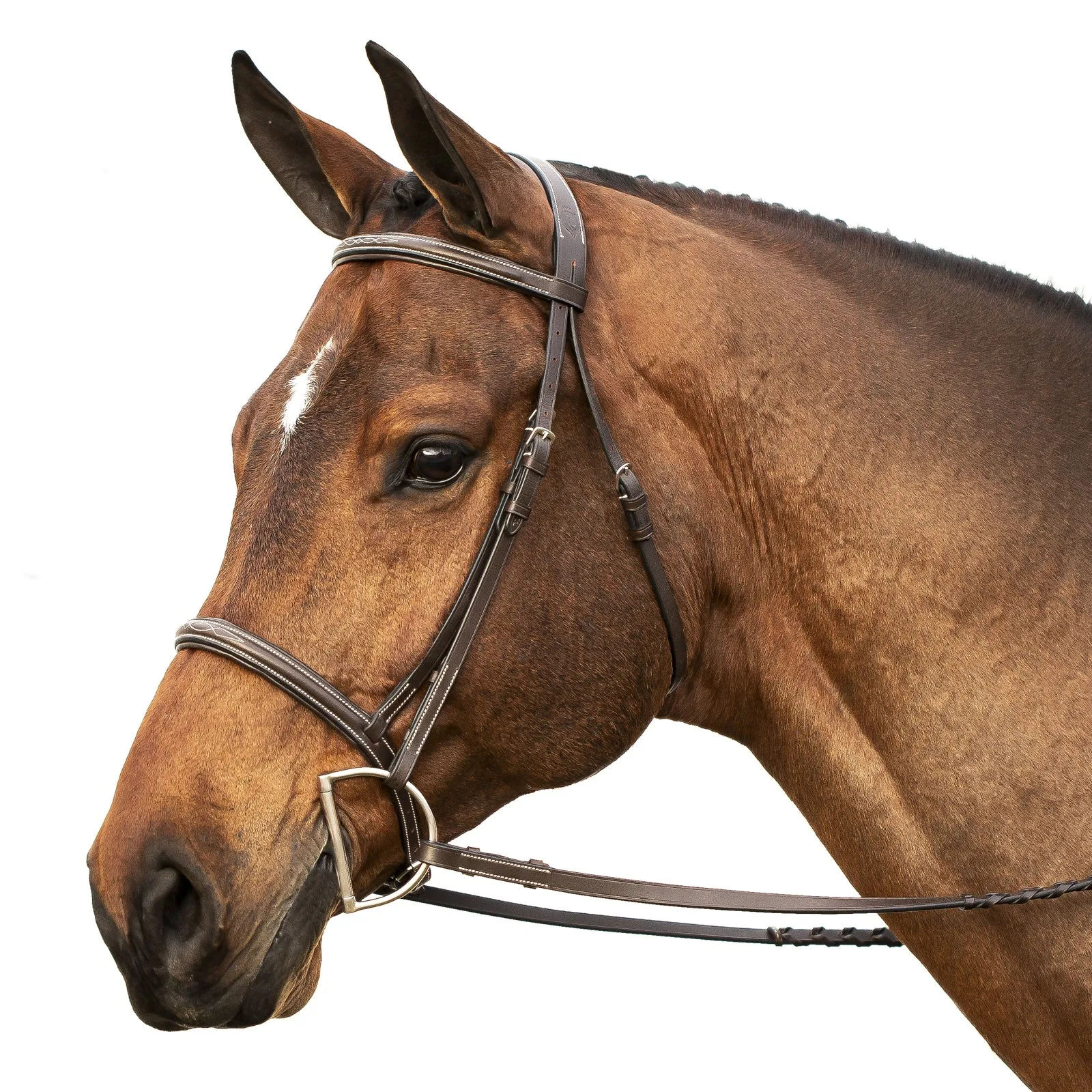 Equinavia Saga Fancy Stitched Hunter Bridle & Rein - Image 2