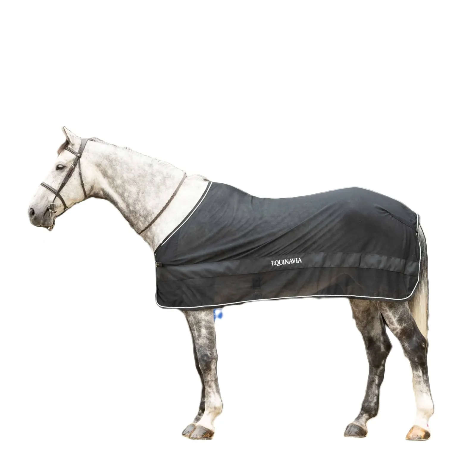 Equinavia Sol Ringside Scrim Sheet - Image 2