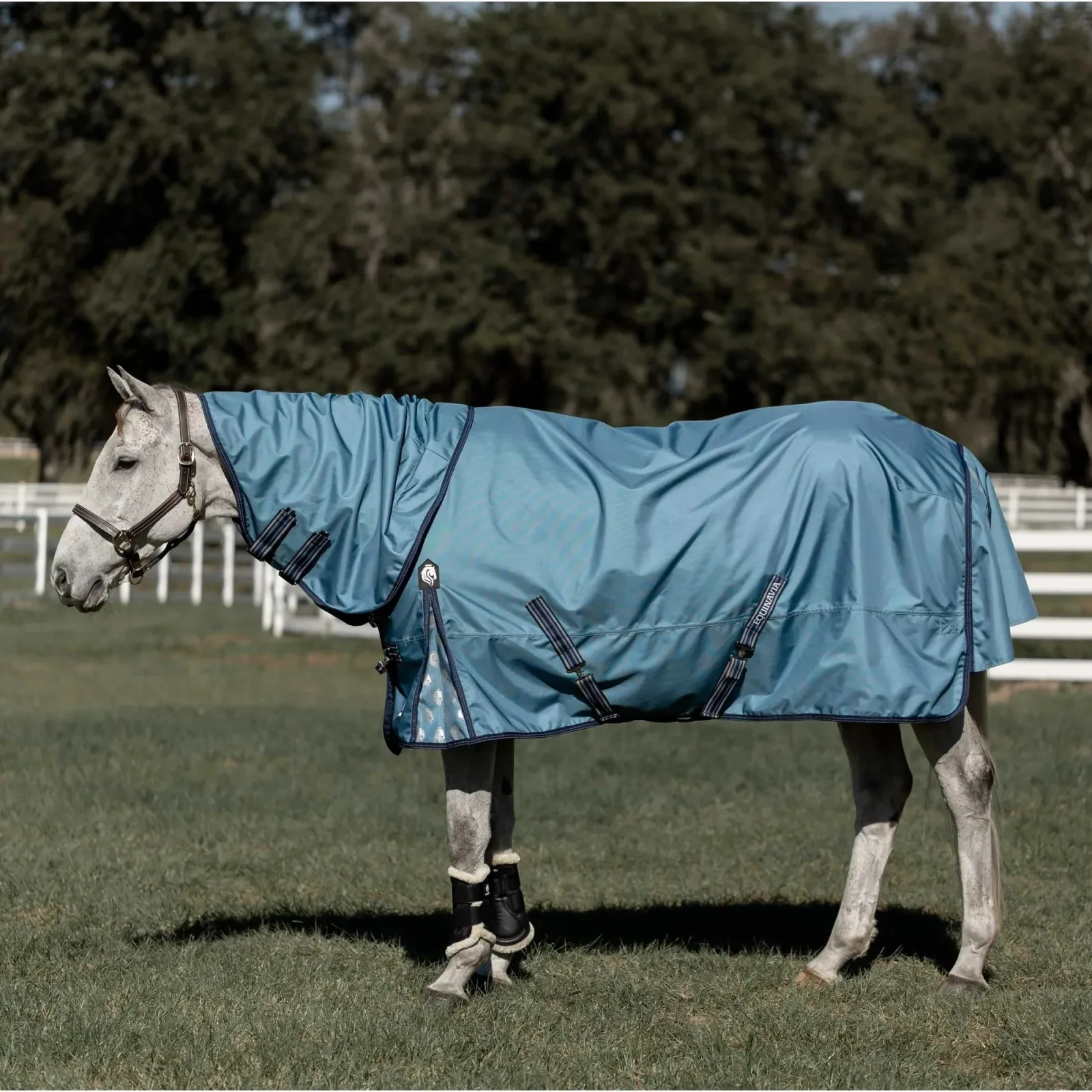 Equinavia Thunder 360 Detachable Neck Light Weight Turnout Blanket 100g - Image 2