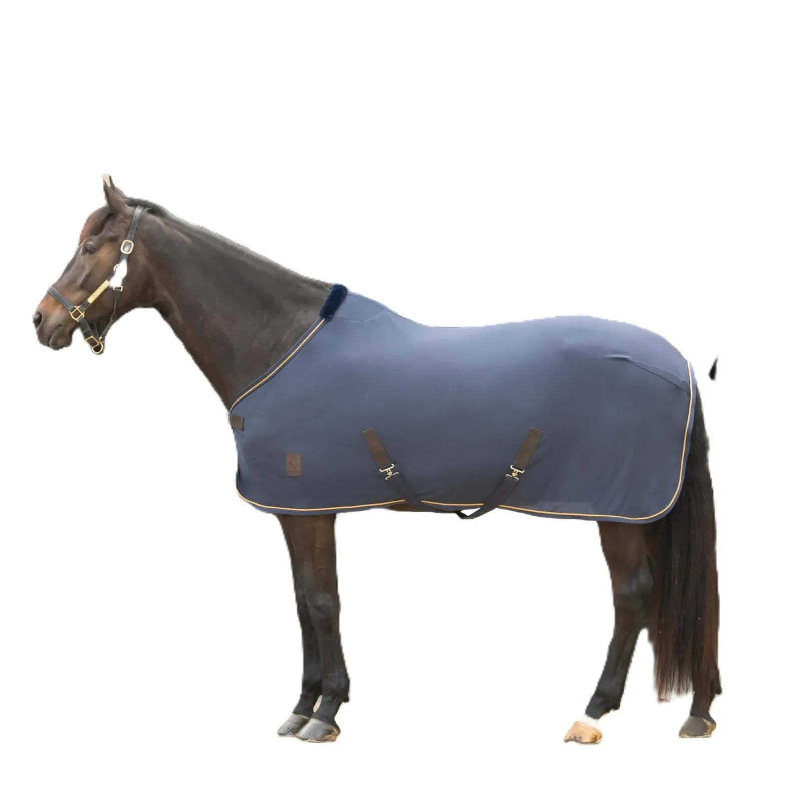 Equinavia Torr Quick Dry Cooler - Image 2