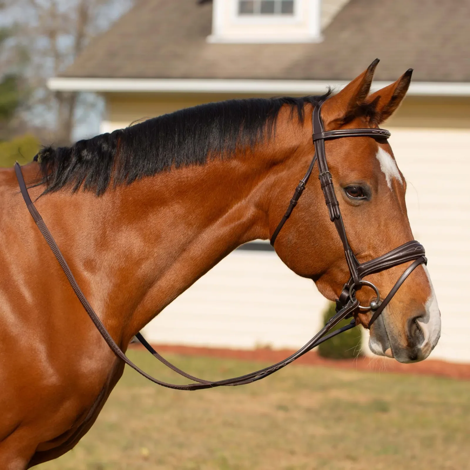 Equinavia Valkyrie Anatomic Jumper Bridle with Rubber Reins