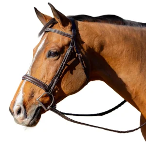 Equinavia Valkyrie Flash Bridle & Rubber Reins