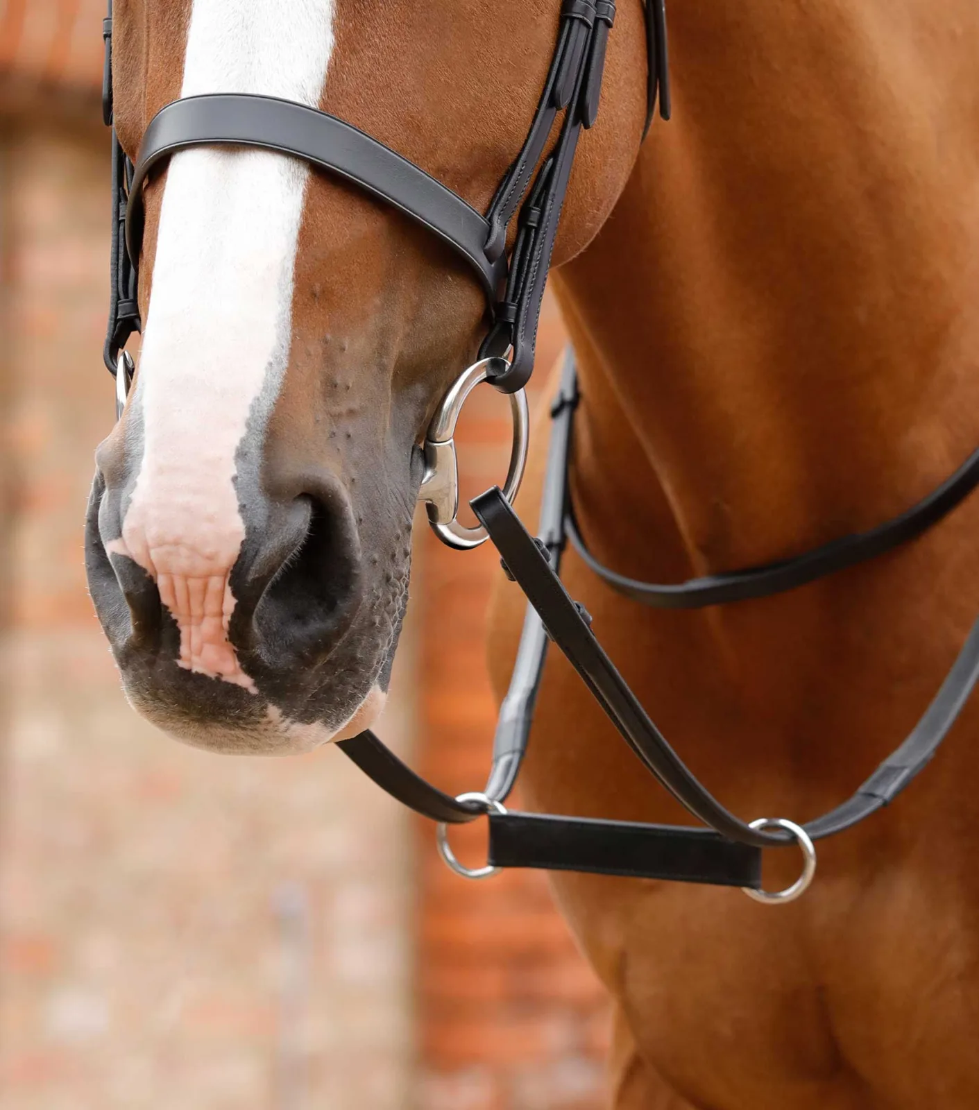 Esperia Irish Martingale Black - Image 2