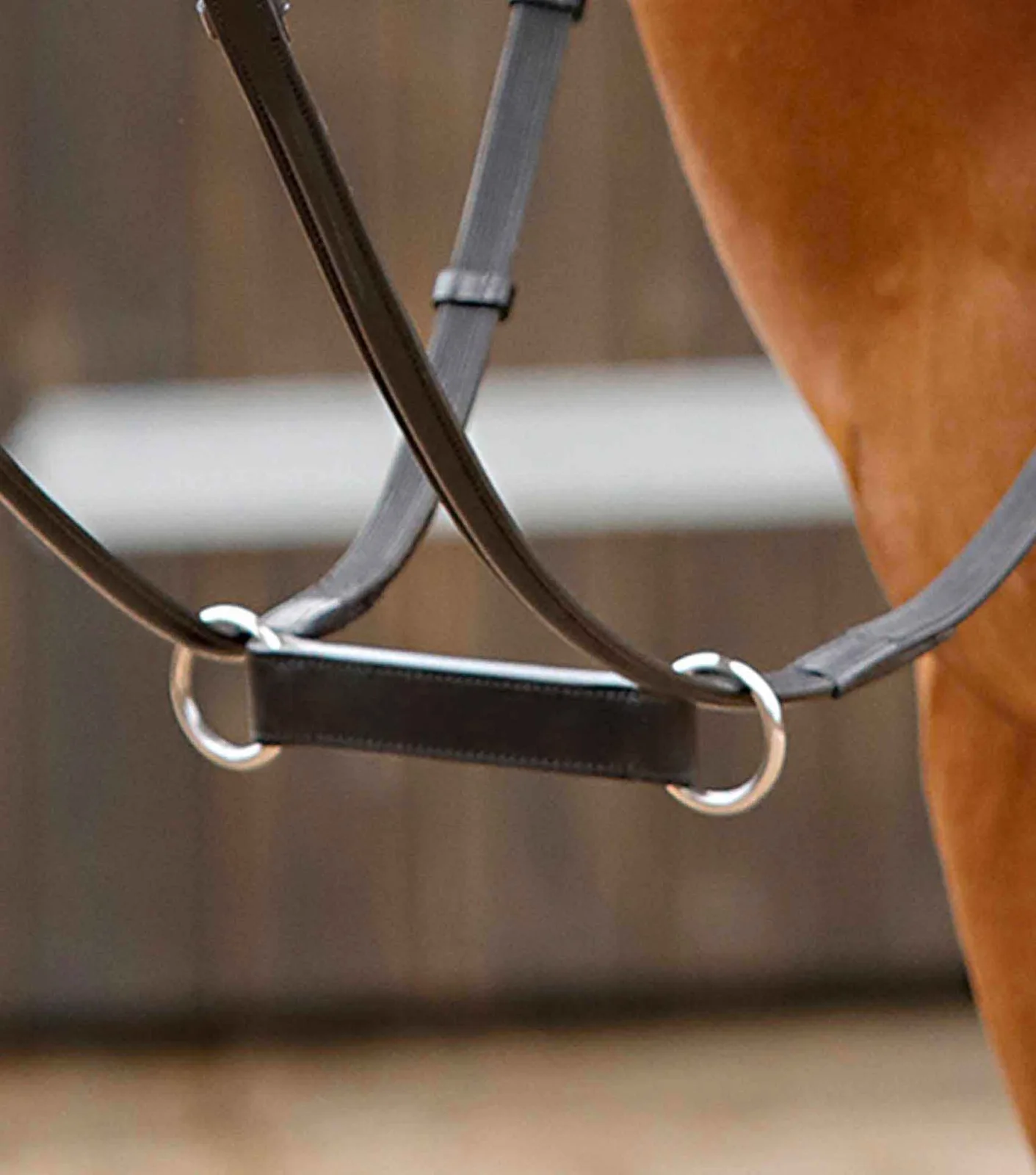 Esperia Irish Martingale Black