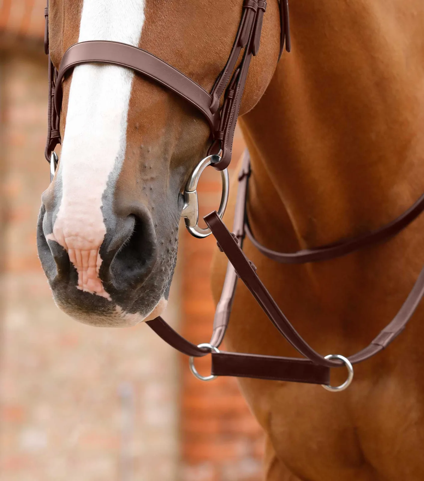 Esperia Irish Martingale Brown - Image 2