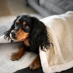 Essentials Herdwick Blanket in Sandstone by Lords & Labradors