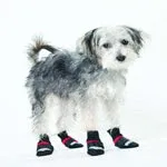 Ethical Pet Extreme All Weather Dog Boots - Red/Black, XXX-Small - Image 2