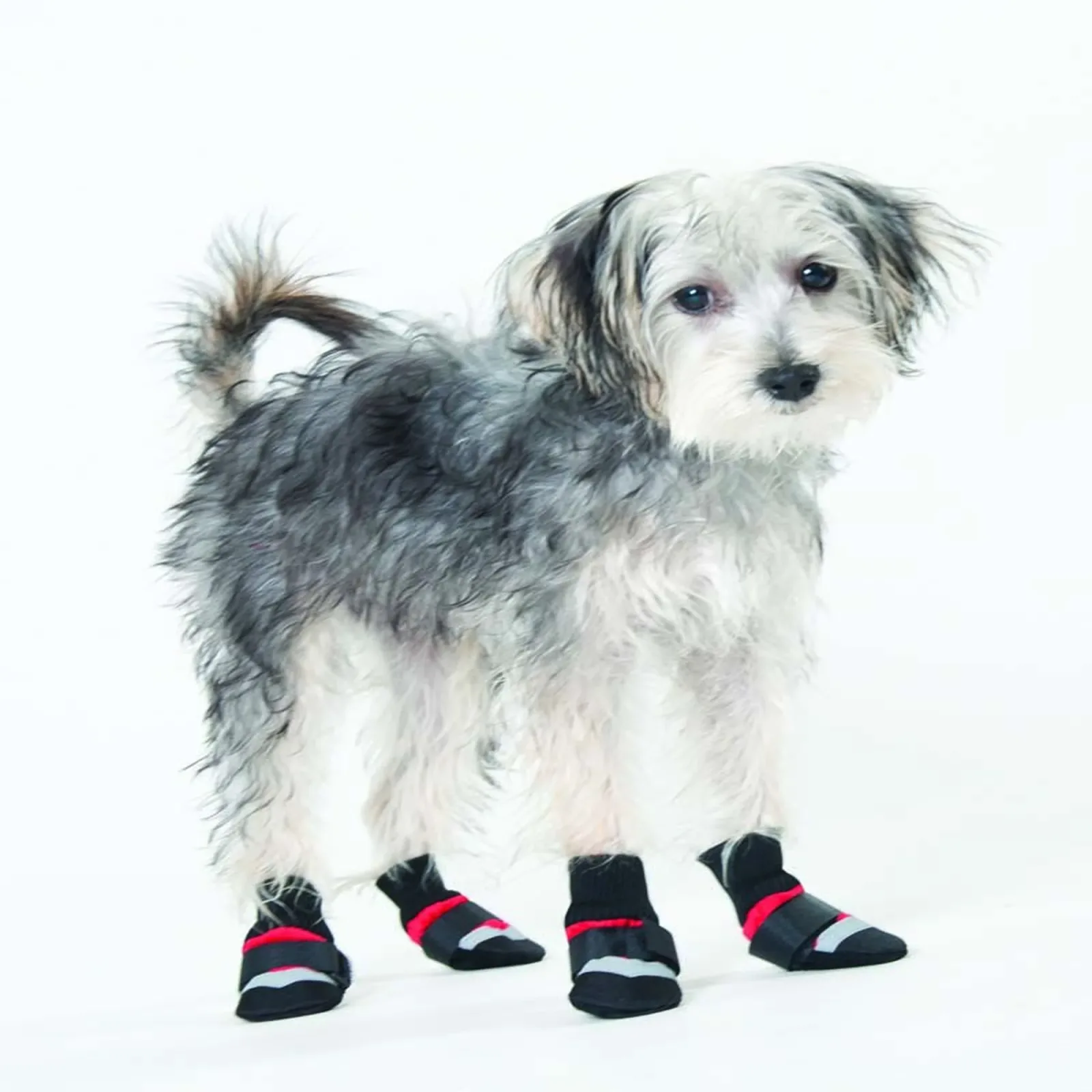 Ethical Pet Extreme All Weather Dog Boots - Red/Black, XXX-Small
